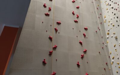 Automat wspinaczkowy na&nbsp;przeglądzie