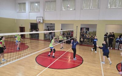 Piłka siatkowa Dziewcząt – IMS – relacja