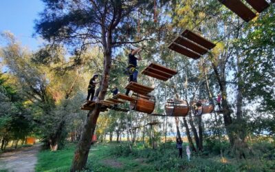 Park linowy nad&nbsp;Jeziorem Tarnobrzeskim czynny do&nbsp;1 września 2024&nbsp;r.