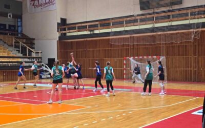 Piłka ręczna dziewcząt i chłopców Licealiada – zawody rejonowe – relacja