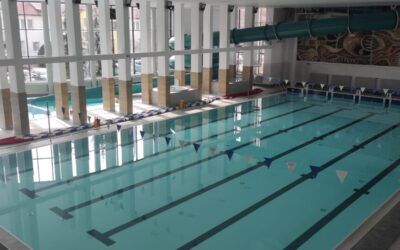 Sprawozdania z badań